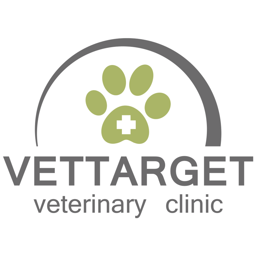Услуги ветеринарного медицинского центра Веттаргет