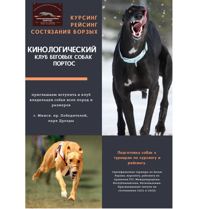 Квалификация